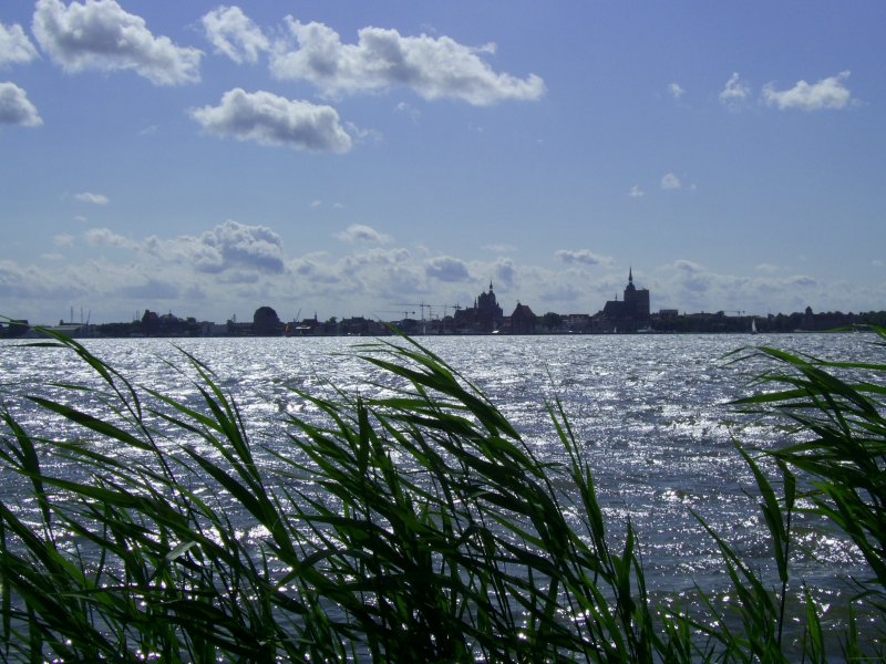 Escortservice Stralsund